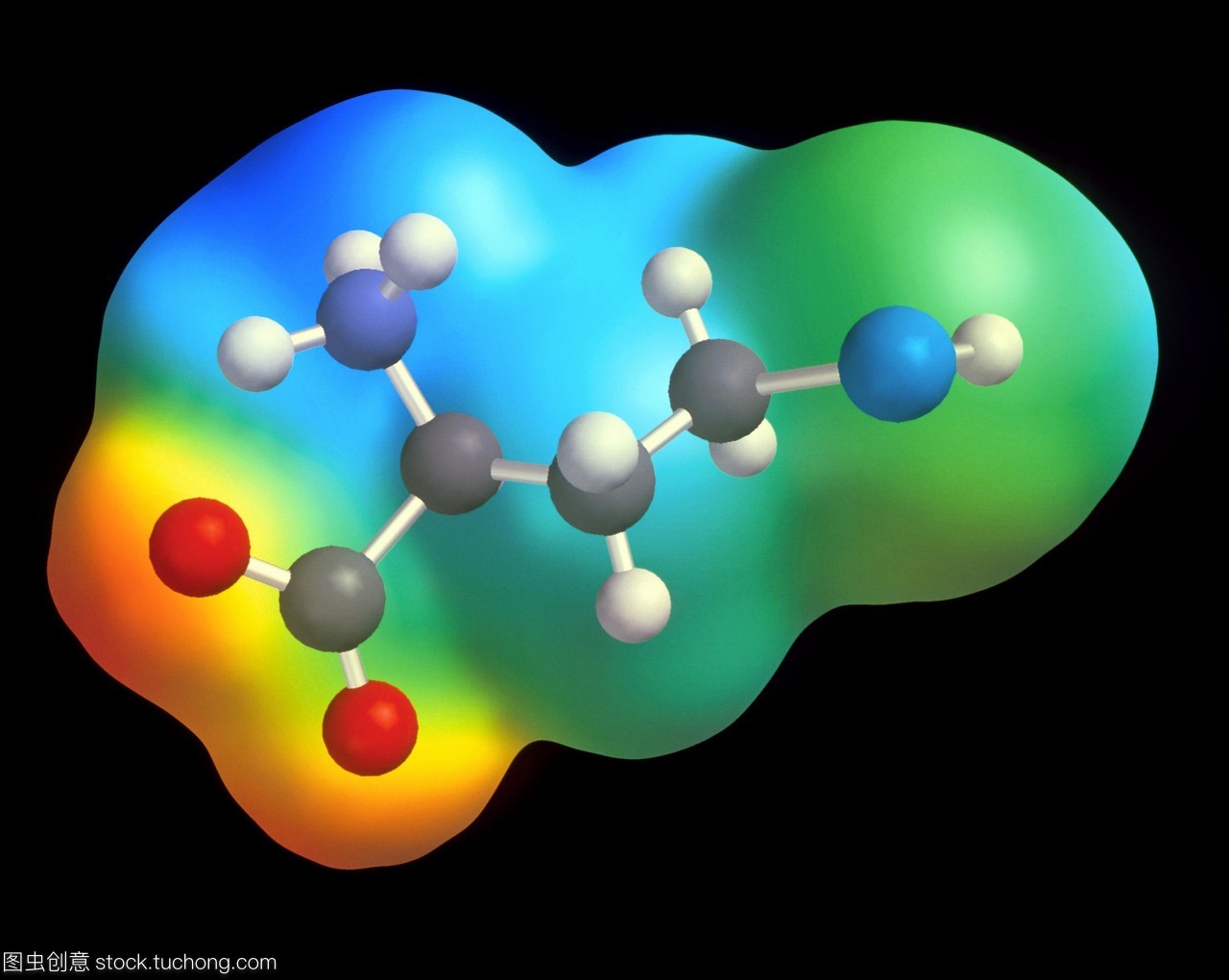 同型半胱氨酸。一种半胱氨酸分子的电脑绘图,是合成氨基酸半胱氨酸的中间体。原子被描绘成球体,而木棍则代表将原子连接在一起的化学键。原子有颜色编码碳灰色,氧气红色,氮深蓝色,硫浅蓝色和氢白色。分子被彩色电子密度图所覆盖。半胱氨酸是许多酶的重要组成部分。遗传性疾病同型胱氨酸是由血液中过多的同型半胱氨酸引起的。患者智力发育迟缓,腿骨和手指过长。